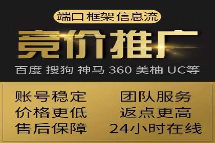 成功SEM竞价托管案例分析报告